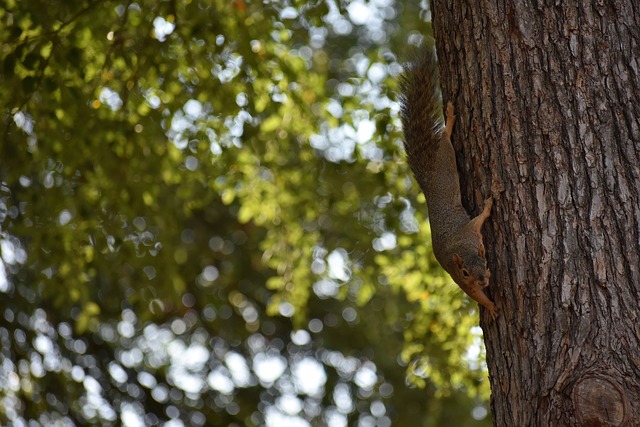致命失误 致命失误
