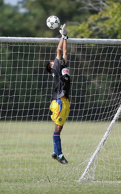 以求的总冠 以求的总冠