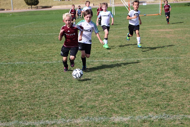 接下来的赛 接下来的赛